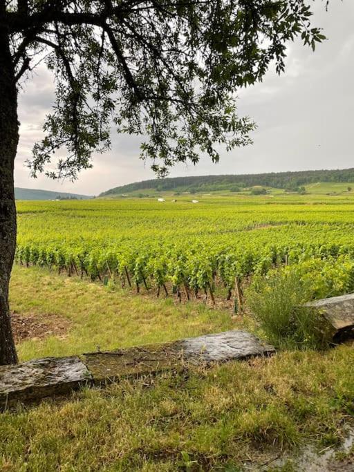 La Cuvee , Duplex A Chambertin. Gevrey-Chambertin